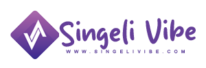 singelivibe.com